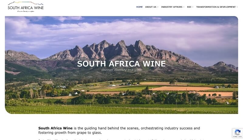 South Africa Wine